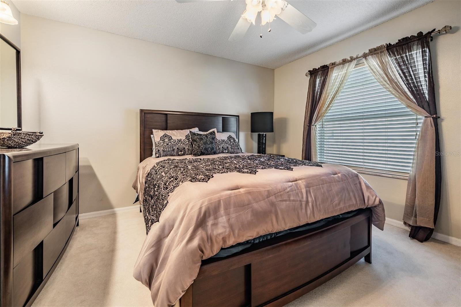11545 WEAVER PARK CT, TRINITY, FL, 34655
