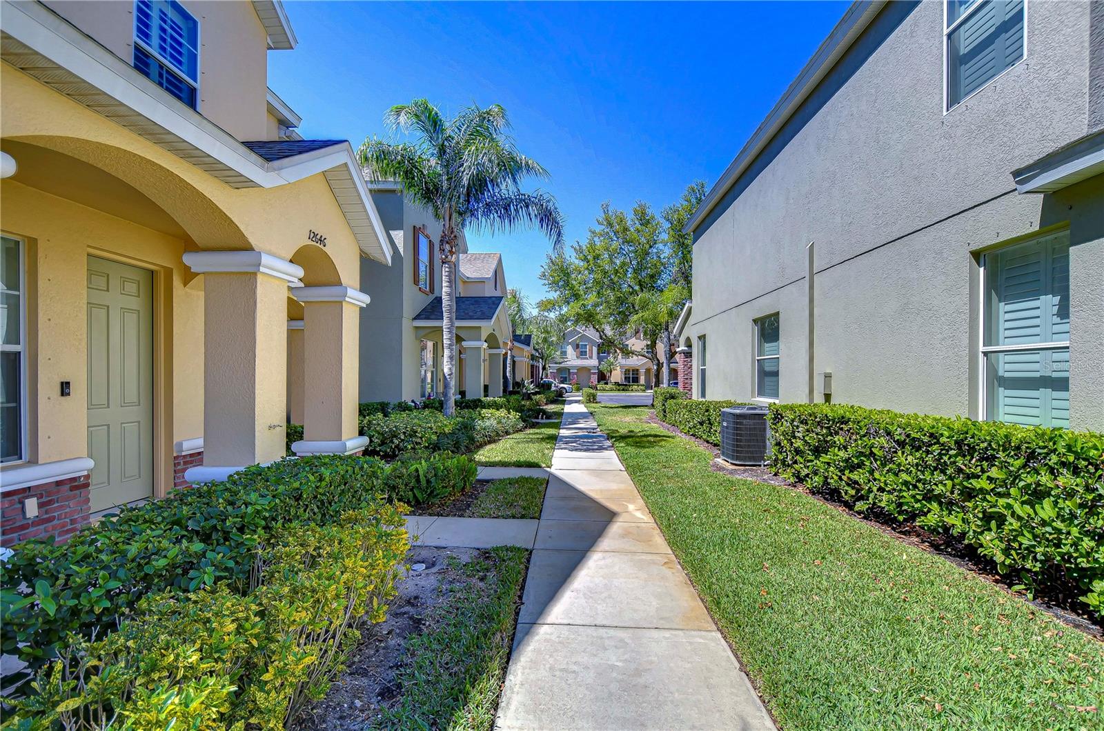 12646 CARLBY CIR, TAMPA, FL, 33626