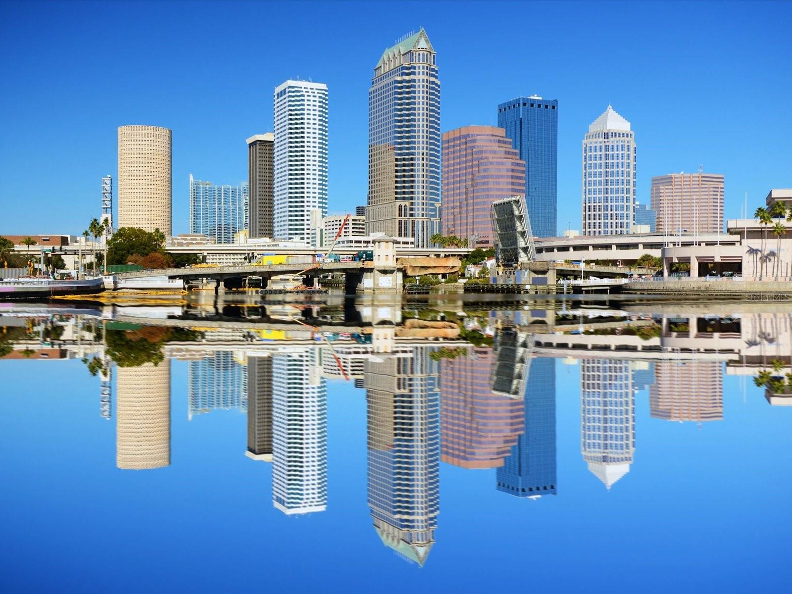 803 S PACKWOOD AVE, TAMPA, FL, 33606