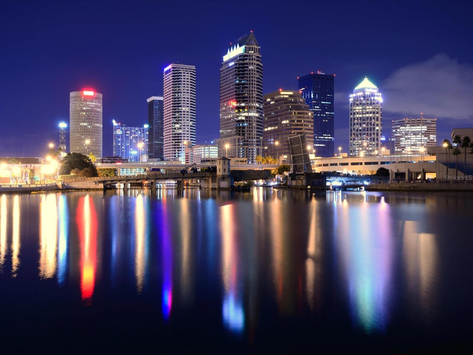 803 S PACKWOOD AVE, TAMPA, FL, 33606