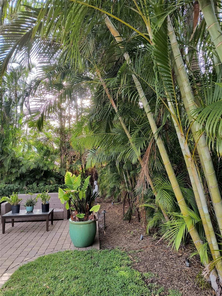 4210 CARSON ST NE, ST PETERSBURG, FL, 33703