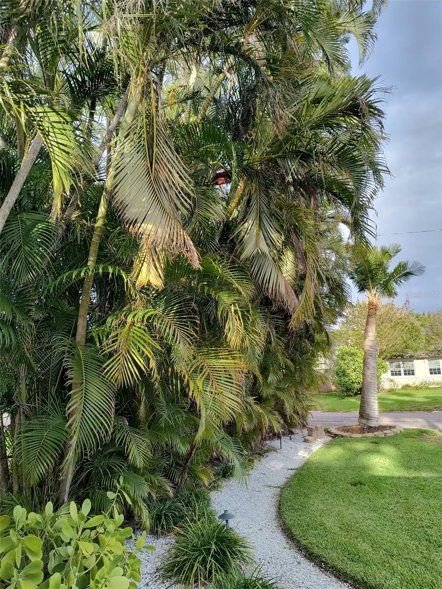 4210 CARSON ST NE, ST PETERSBURG, FL, 33703
