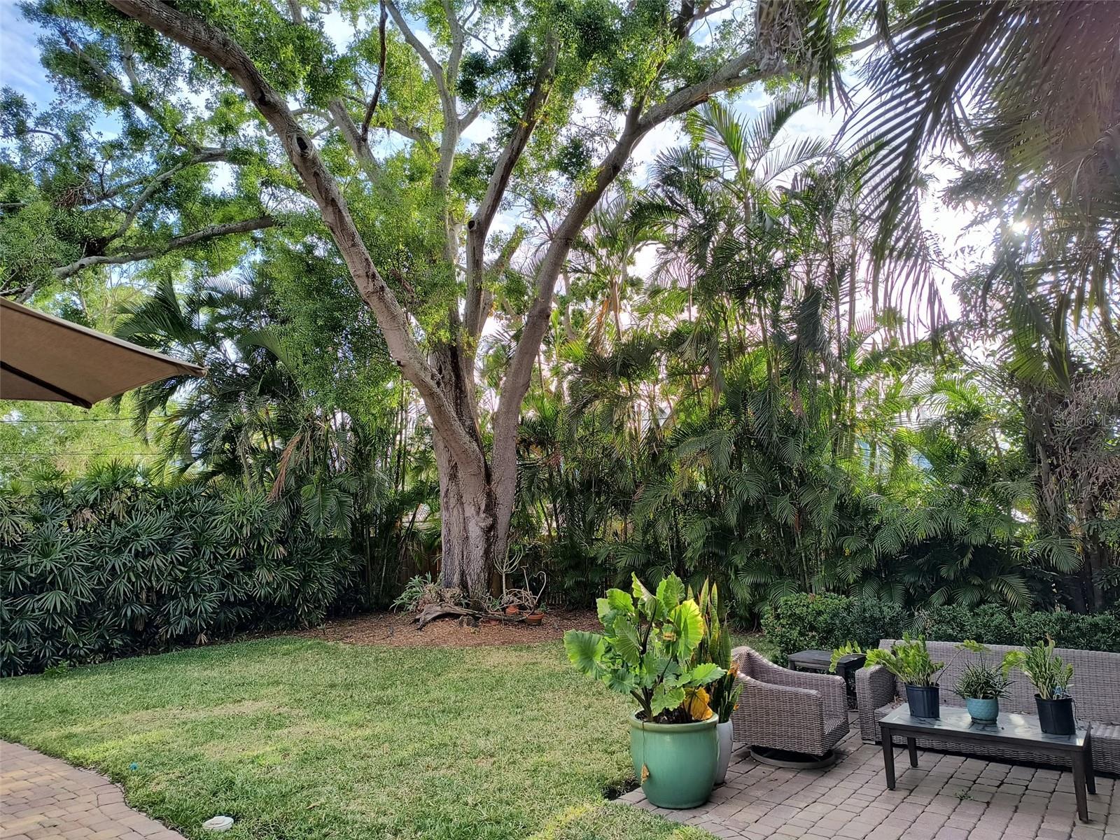 4210 CARSON ST NE, ST PETERSBURG, FL, 33703