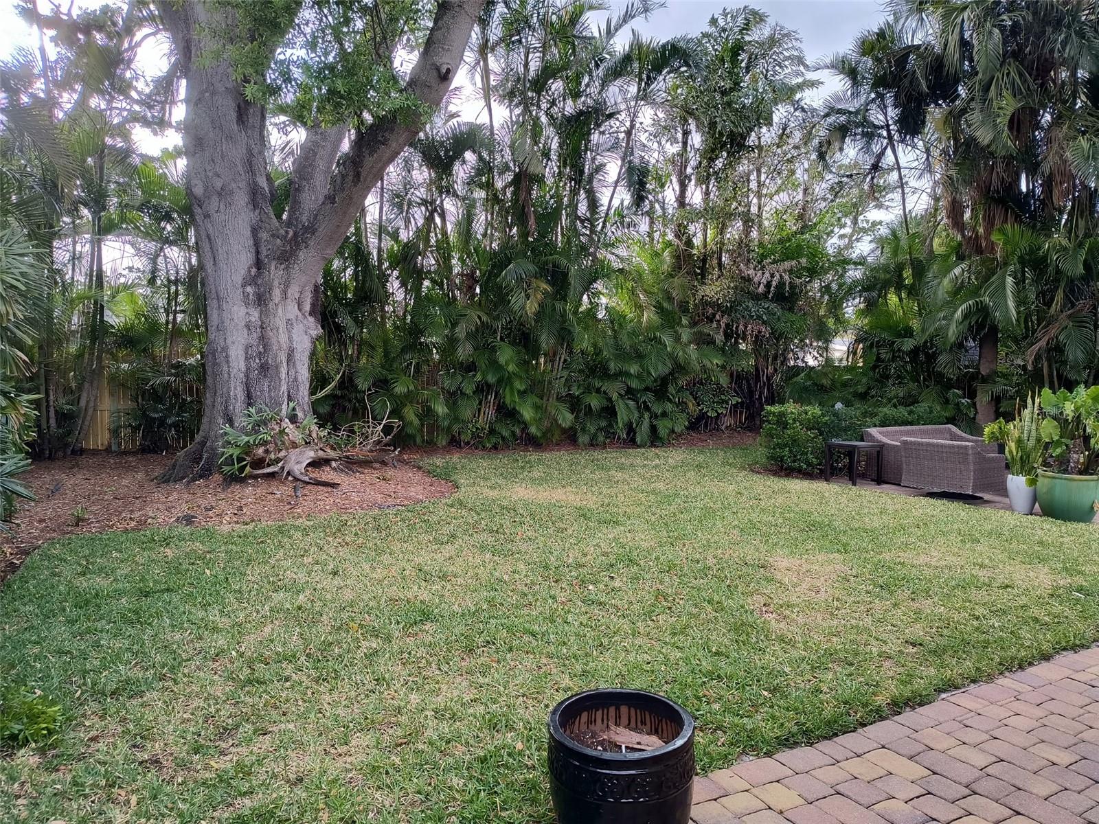 4210 CARSON ST NE, ST PETERSBURG, FL, 33703