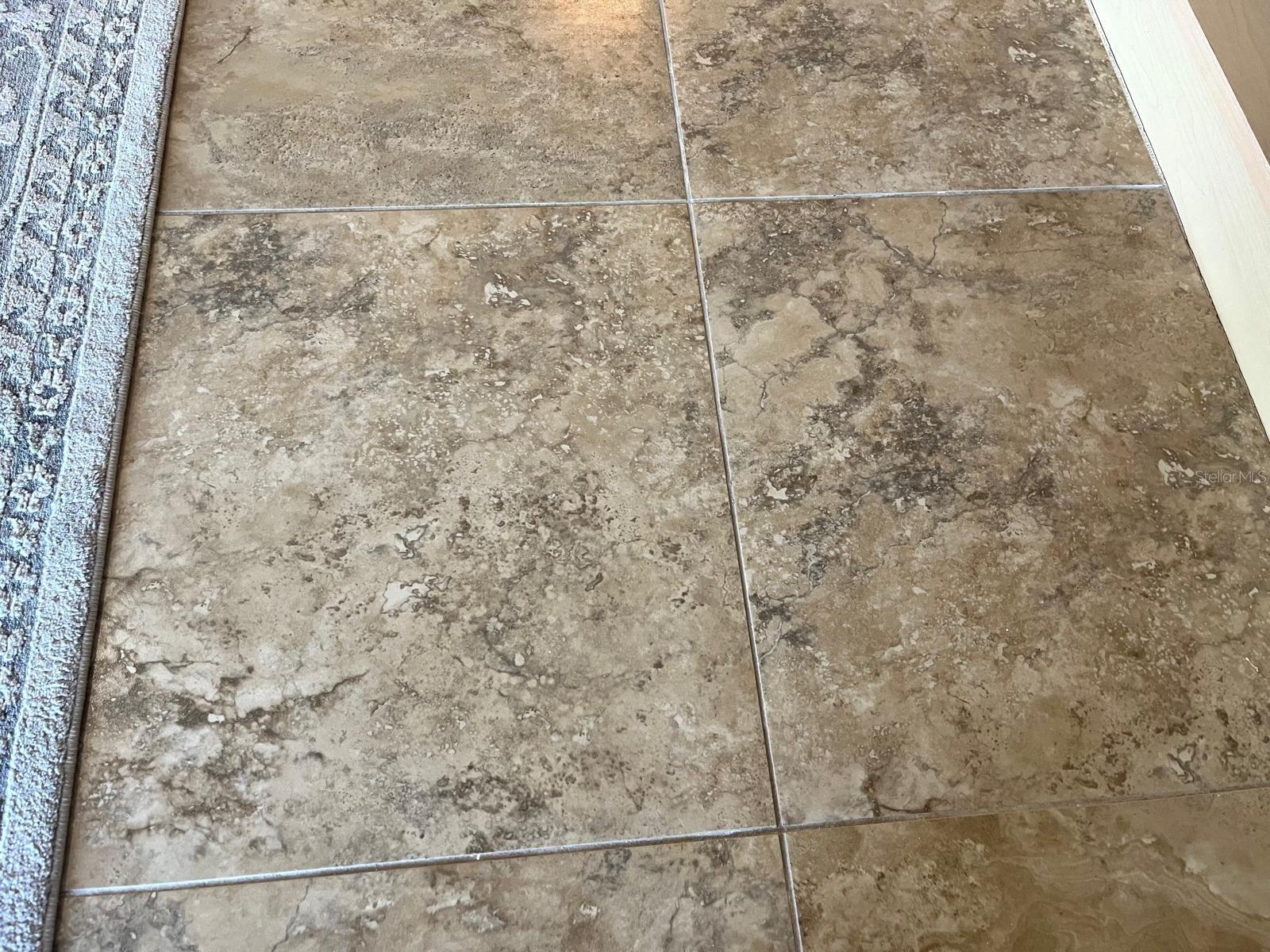 880 MANDALAY AVE #N802, CLEARWATER BEACH, FL, 33767