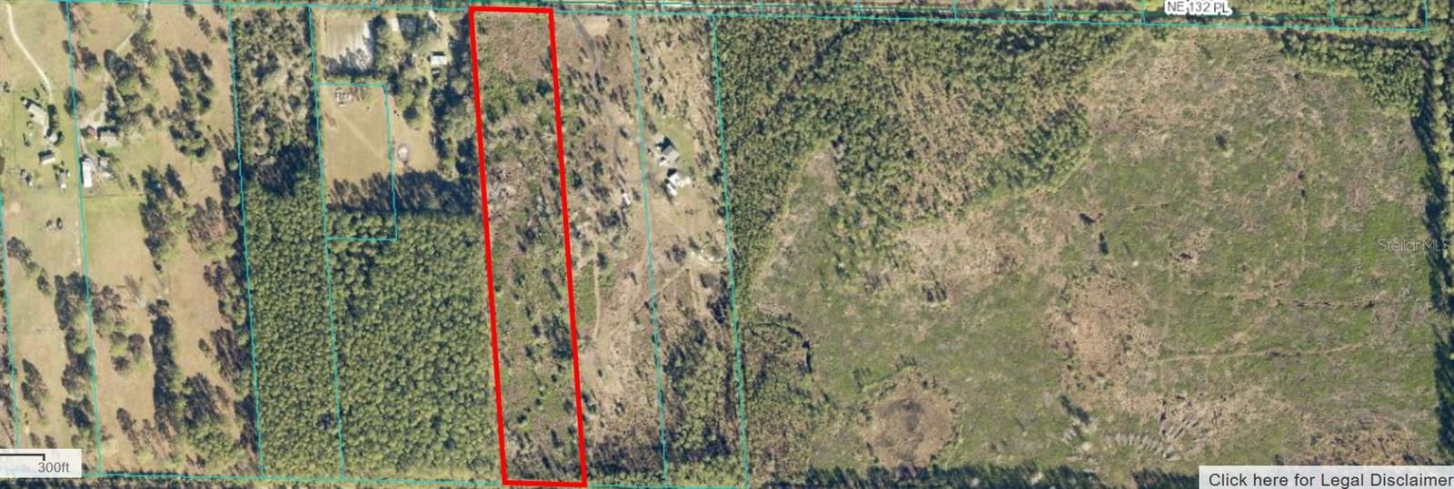 NE 132 PL, CITRA, FL, 32113