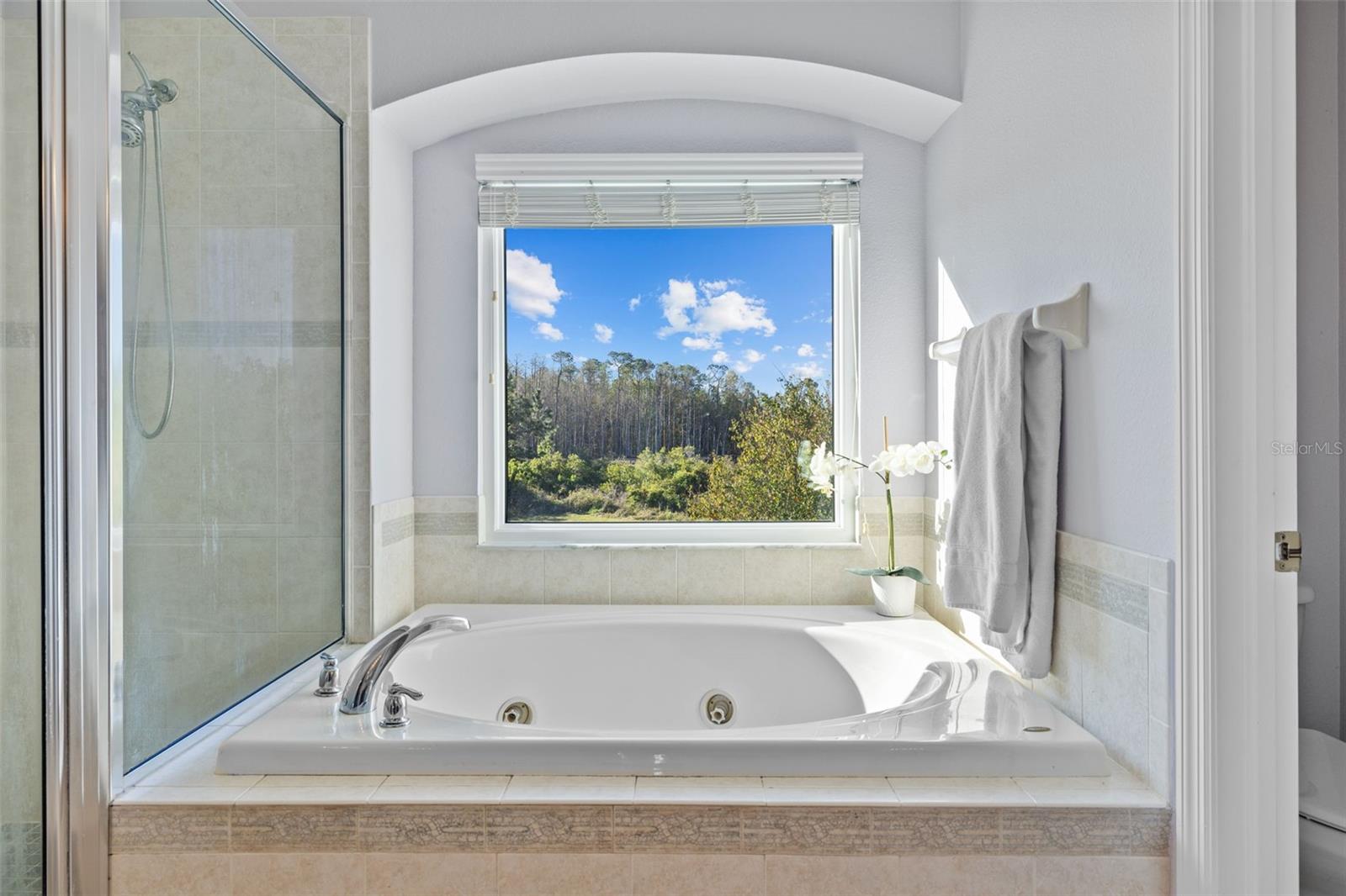 9102 TOLLISON LOOP, LAND O LAKES, FL, 34638