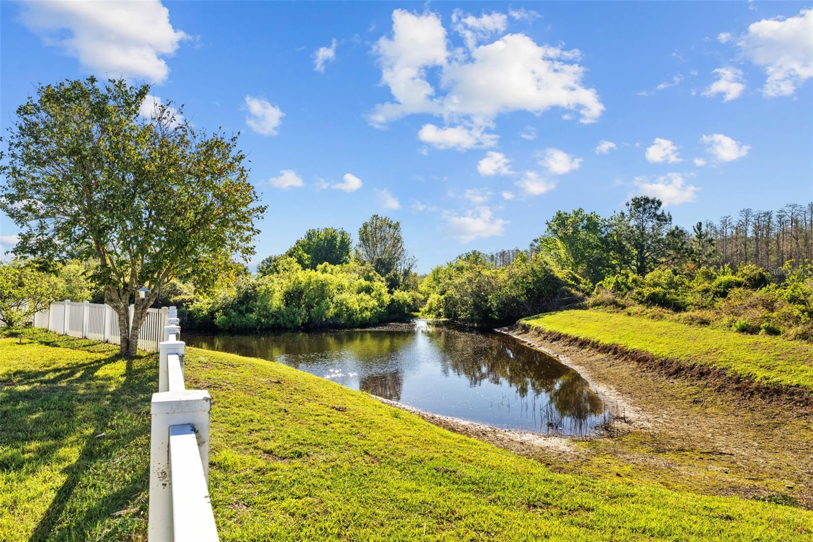 9102 TOLLISON LOOP, LAND O LAKES, FL, 34638