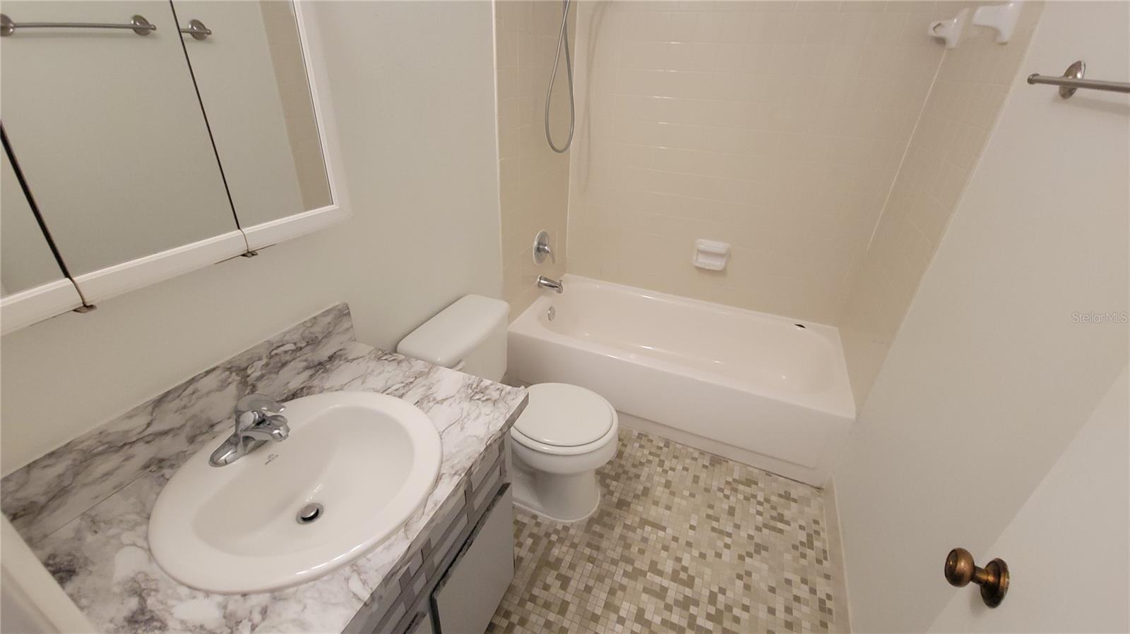 7502 BOLANOS CT, TAMPA, FL, 33615