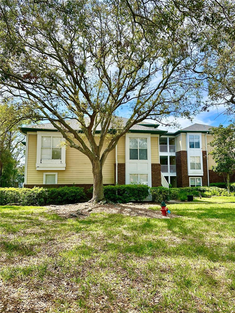 10122 WINSFORD OAK BLVD #401, TAMPA, FL, 33624