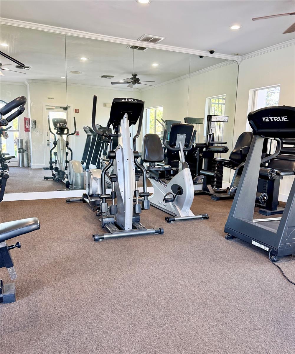 10122 WINSFORD OAK BLVD #401, TAMPA, FL, 33624