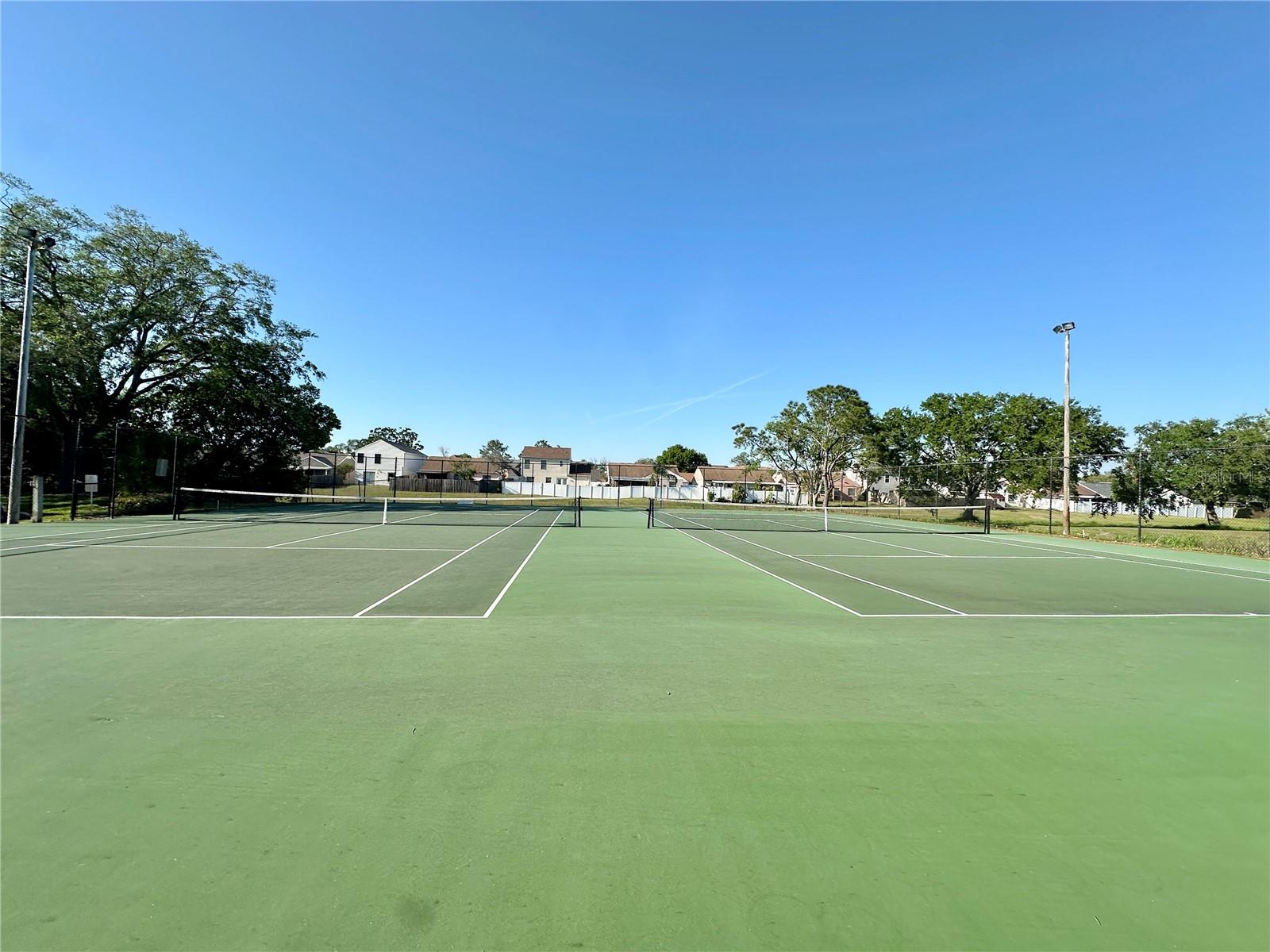 10122 WINSFORD OAK BLVD #401, TAMPA, FL, 33624