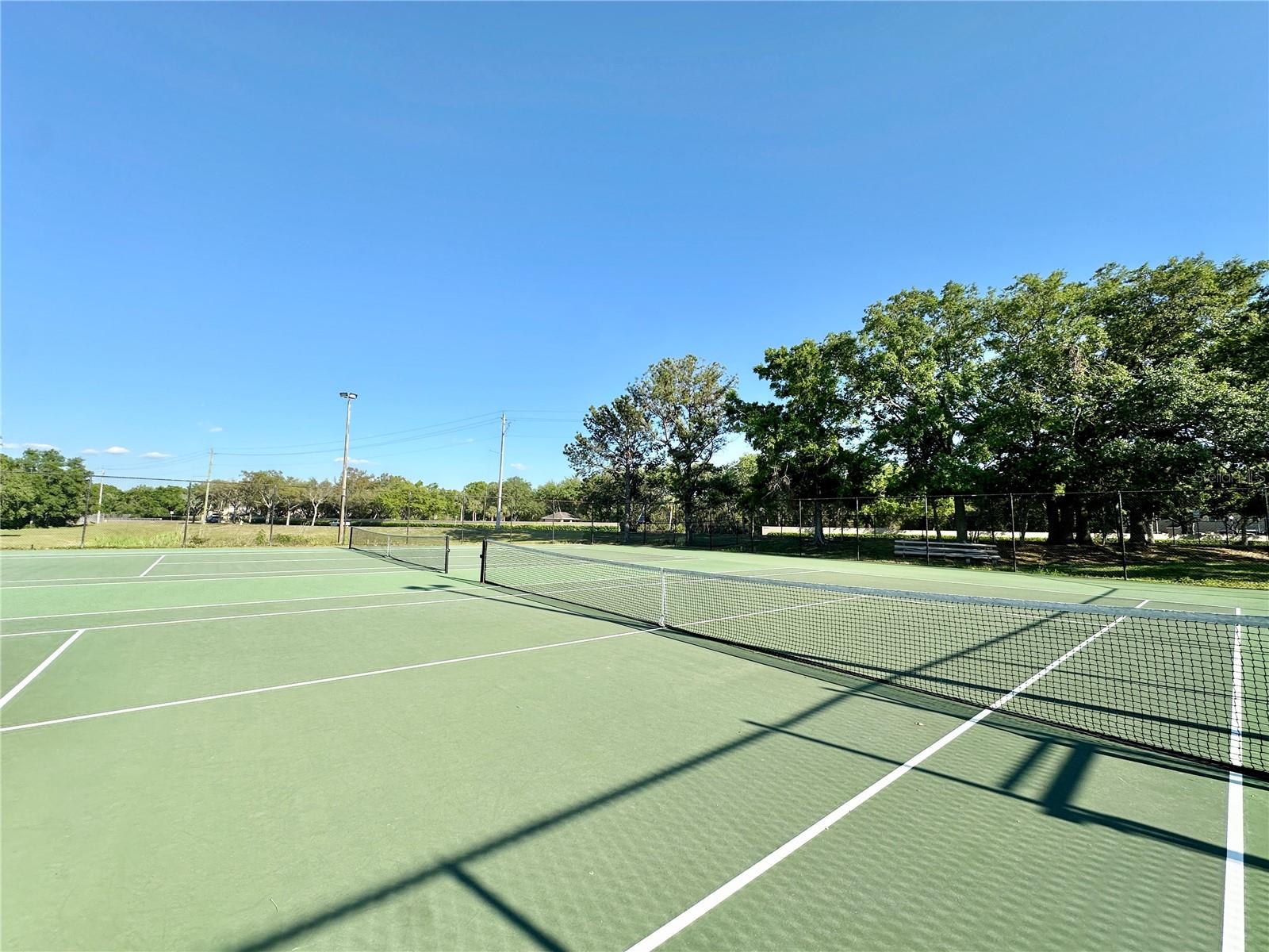 10122 WINSFORD OAK BLVD #401, TAMPA, FL, 33624