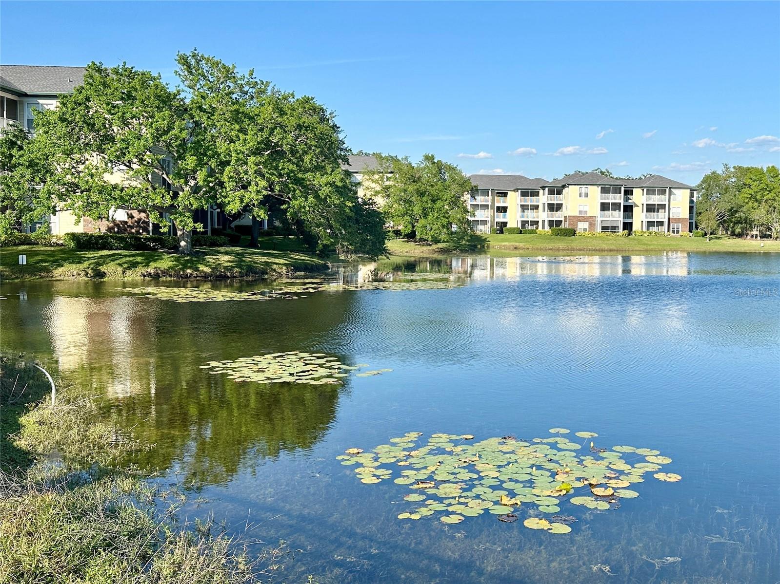 10122 WINSFORD OAK BLVD #401, TAMPA, FL, 33624