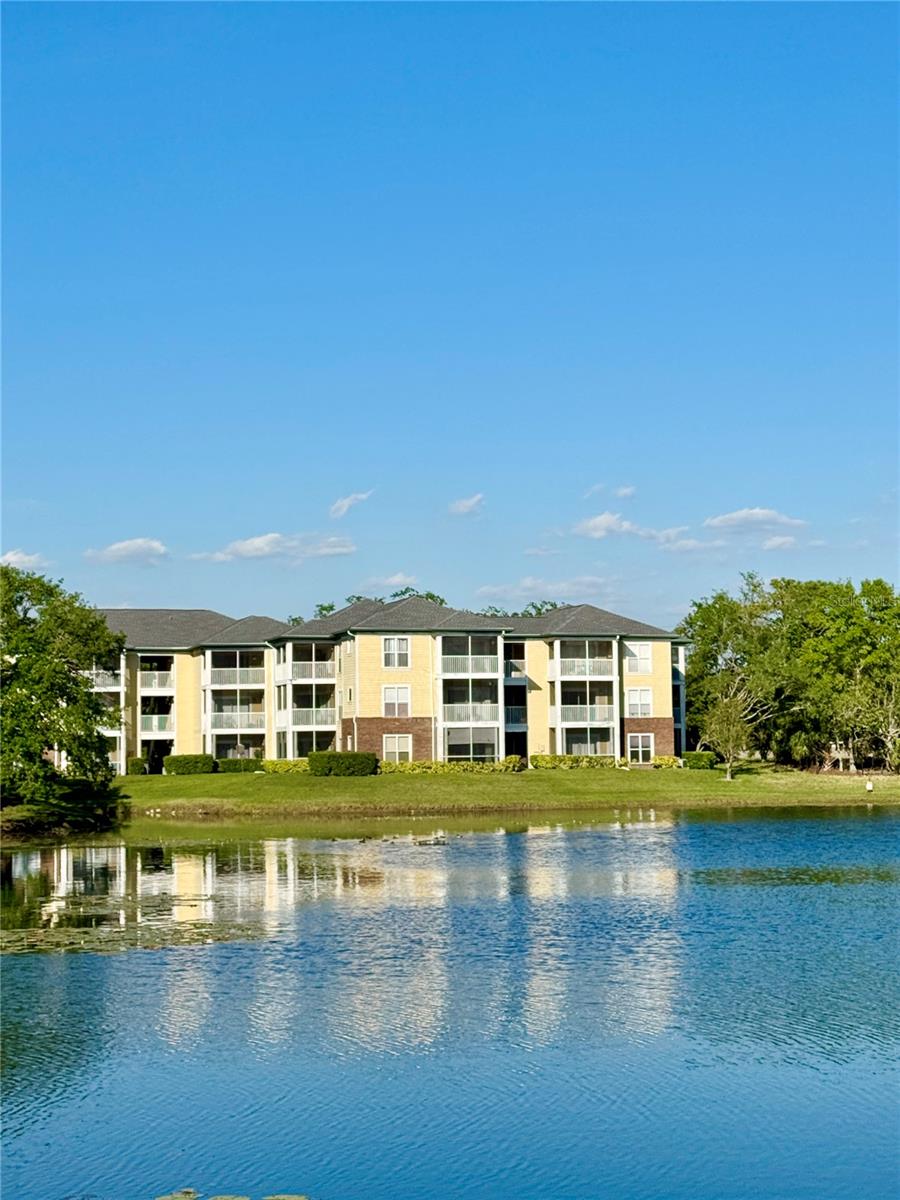 10122 WINSFORD OAK BLVD #401, TAMPA, FL, 33624