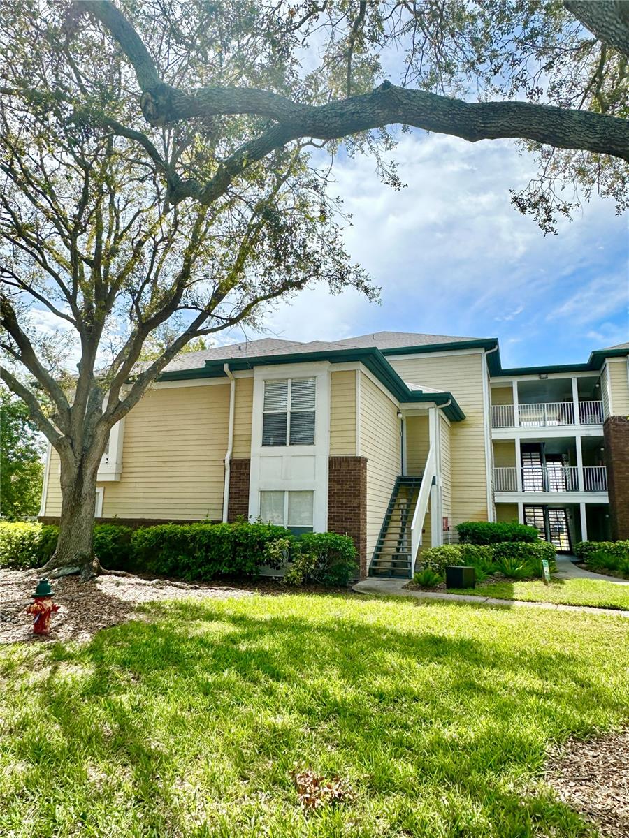 10122 WINSFORD OAK BLVD #401, TAMPA, FL, 33624
