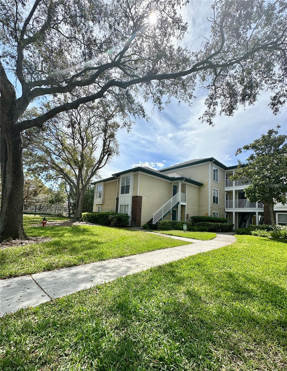 10122 WINSFORD OAK BLVD #401, TAMPA, FL, 33624