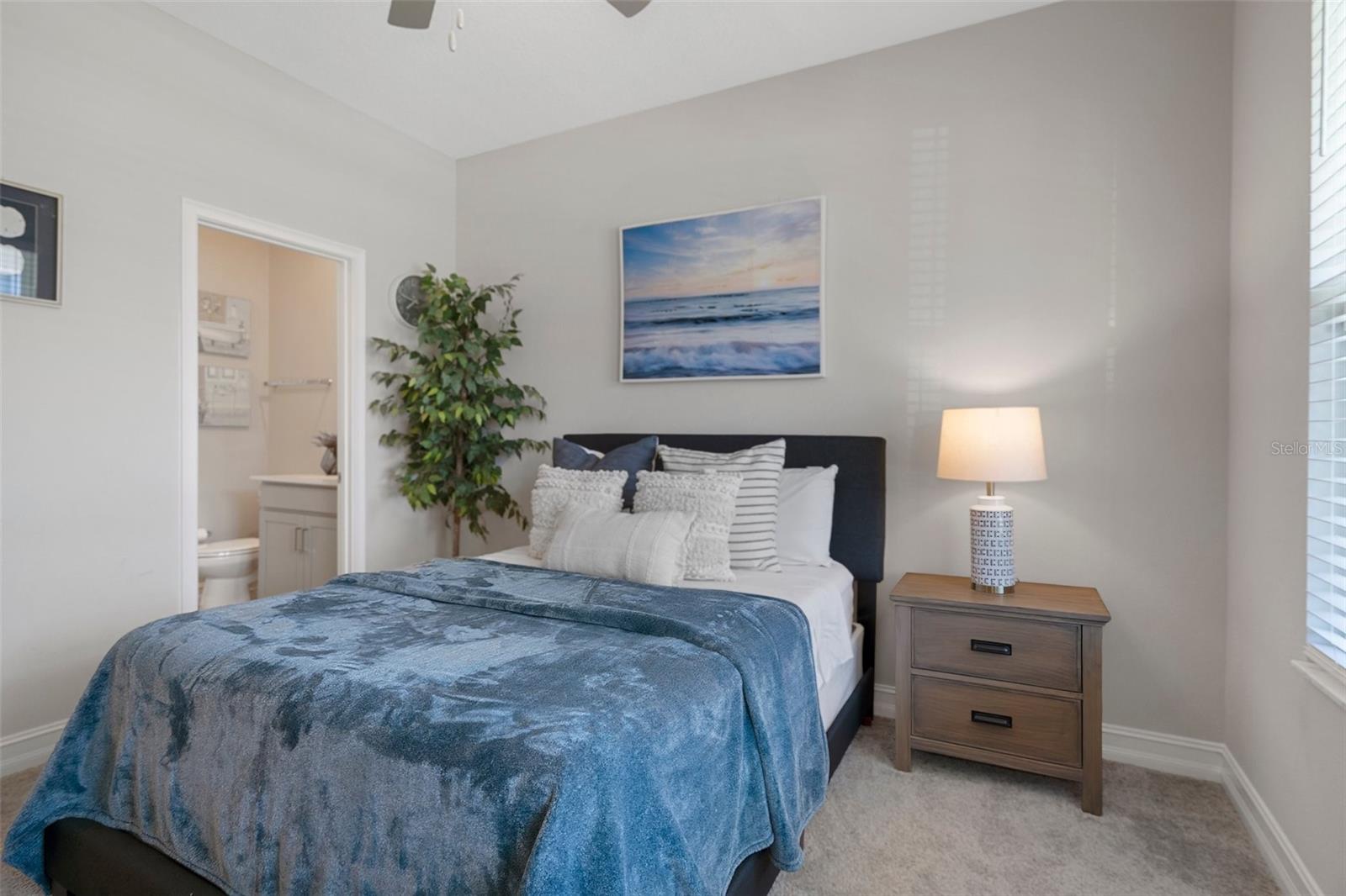 9817 CONEFLOWER CT, LAND O LAKES, FL, 34637