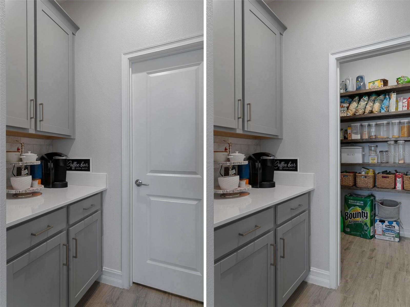 9817 CONEFLOWER CT, LAND O LAKES, FL, 34637
