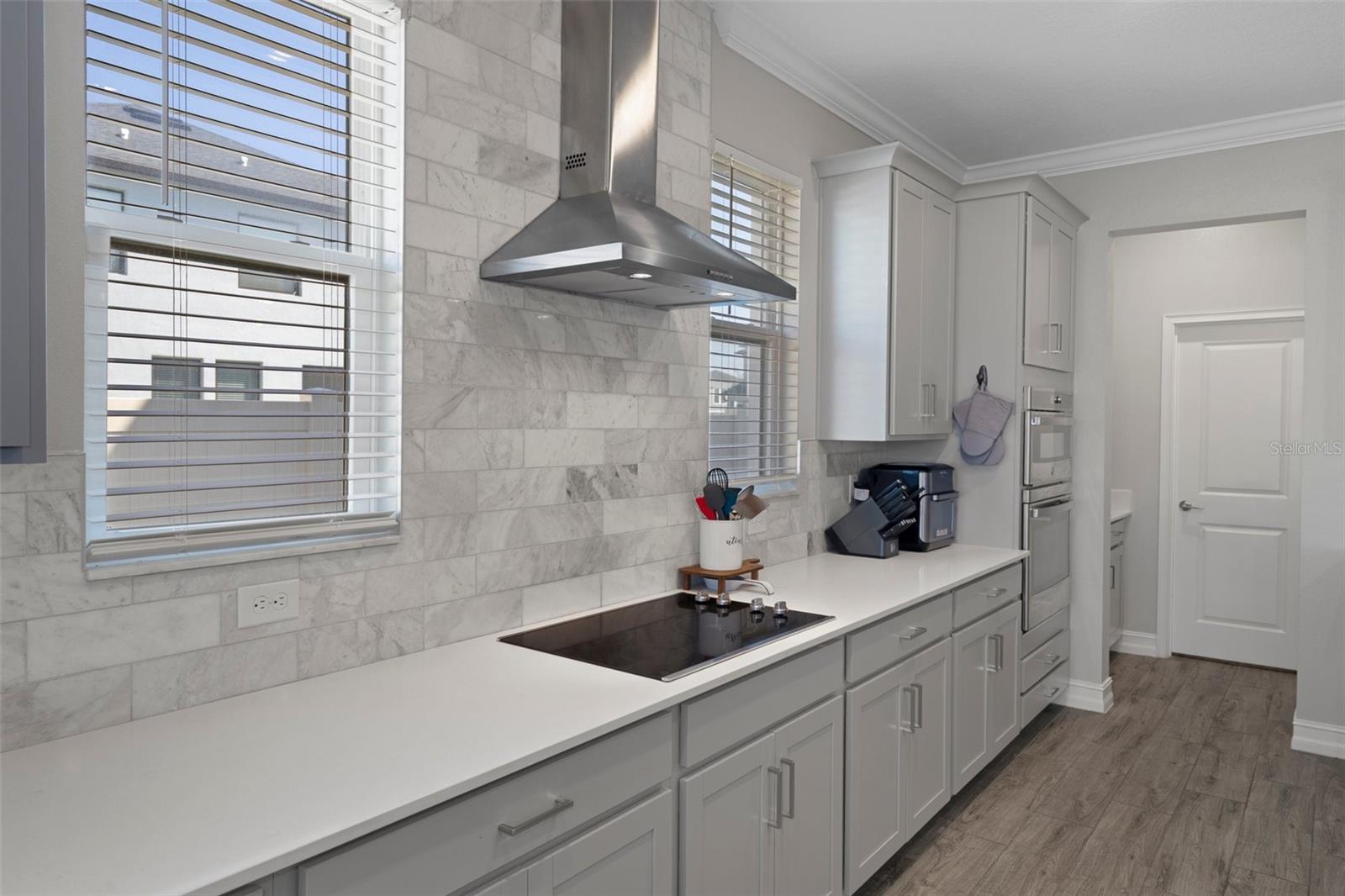 9817 CONEFLOWER CT, LAND O LAKES, FL, 34637