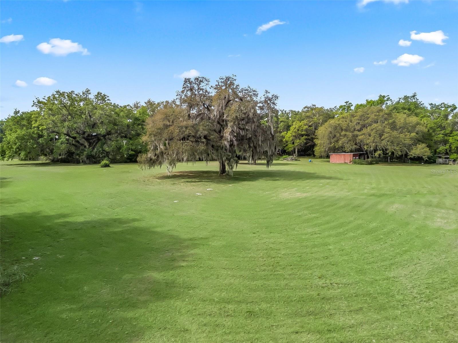 747 & 803 COUNTY ROAD 466A, FRUITLAND PARK, FL, 34731