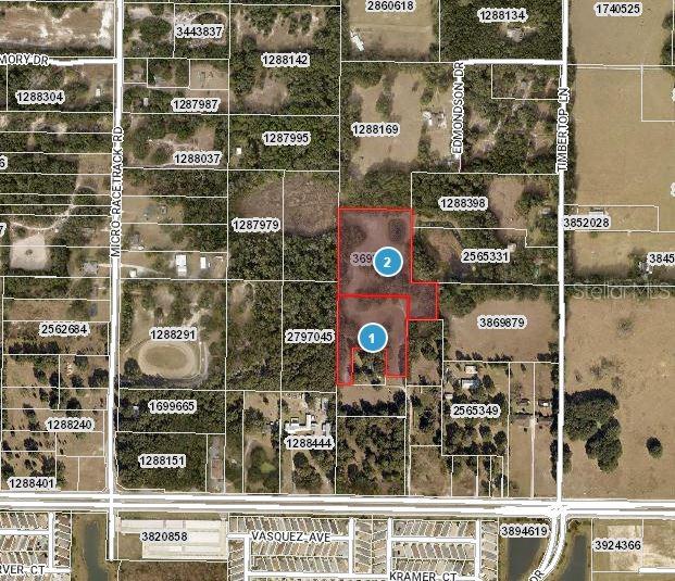747 & 803 COUNTY ROAD 466A, FRUITLAND PARK, FL, 34731