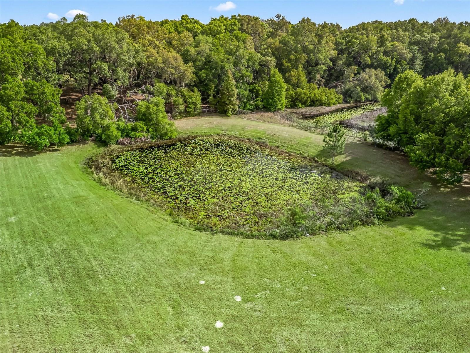 747 & 803 COUNTY ROAD 466A, FRUITLAND PARK, FL, 34731