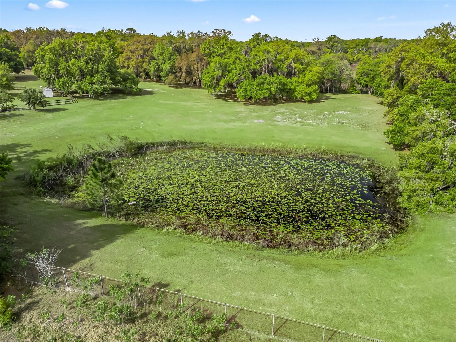 747 & 803 COUNTY ROAD 466A, FRUITLAND PARK, FL, 34731