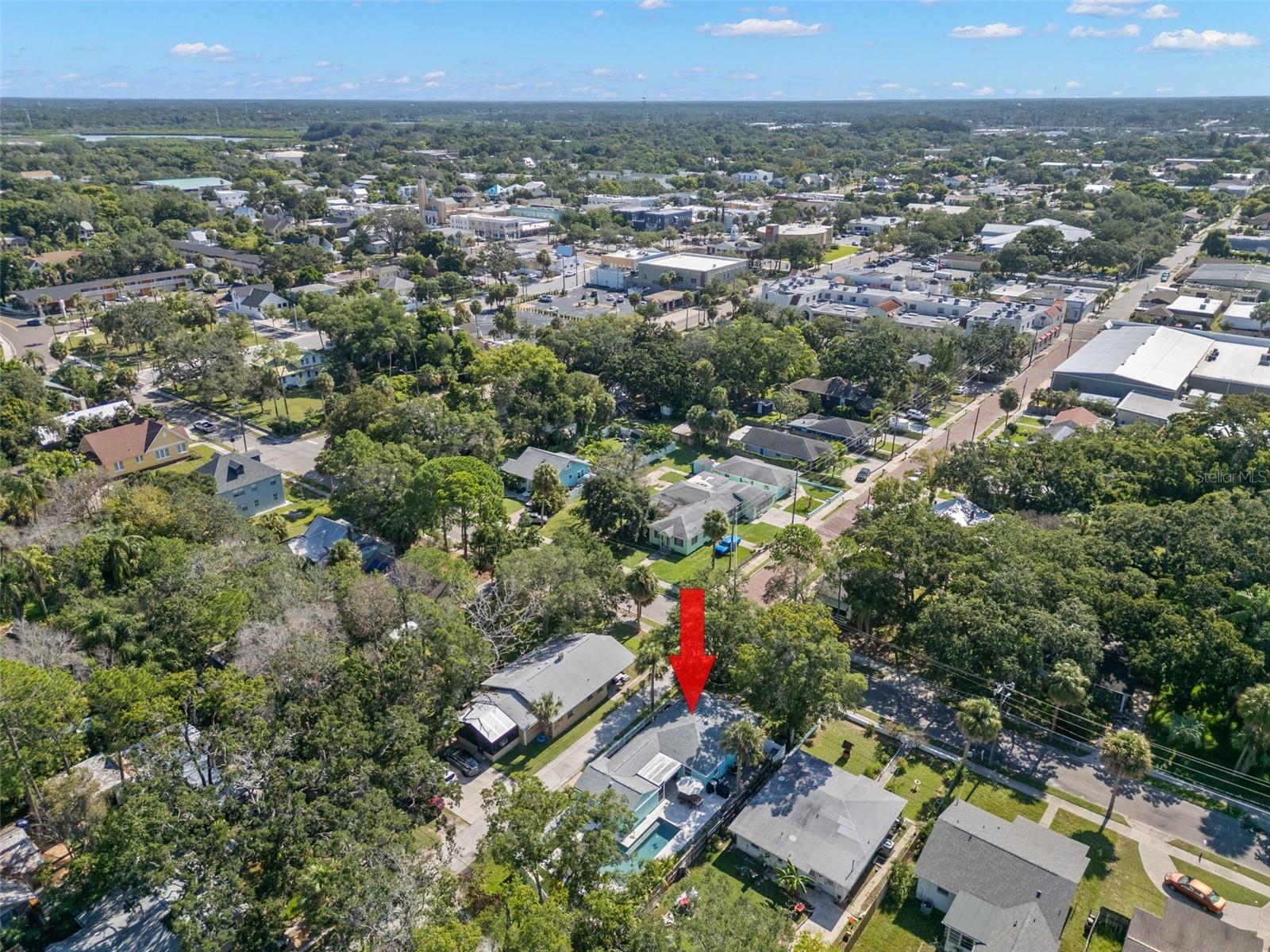 302 BANANA ST, TARPON SPRINGS, FL, 34689