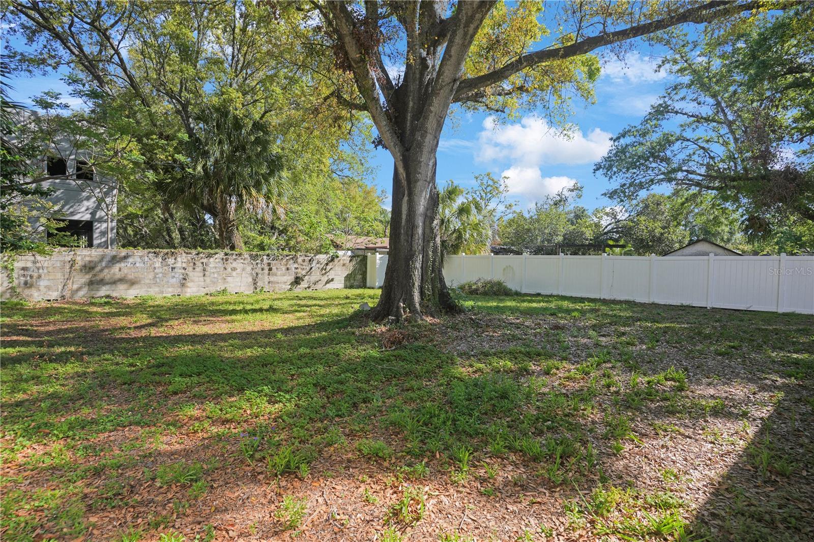 124 E 119TH AVE, TAMPA, FL, 33612