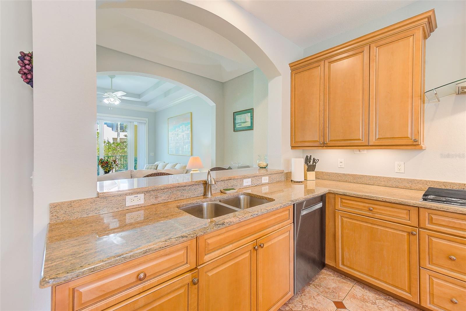 250 SEAGATE CT, DUNEDIN, FL, 34698