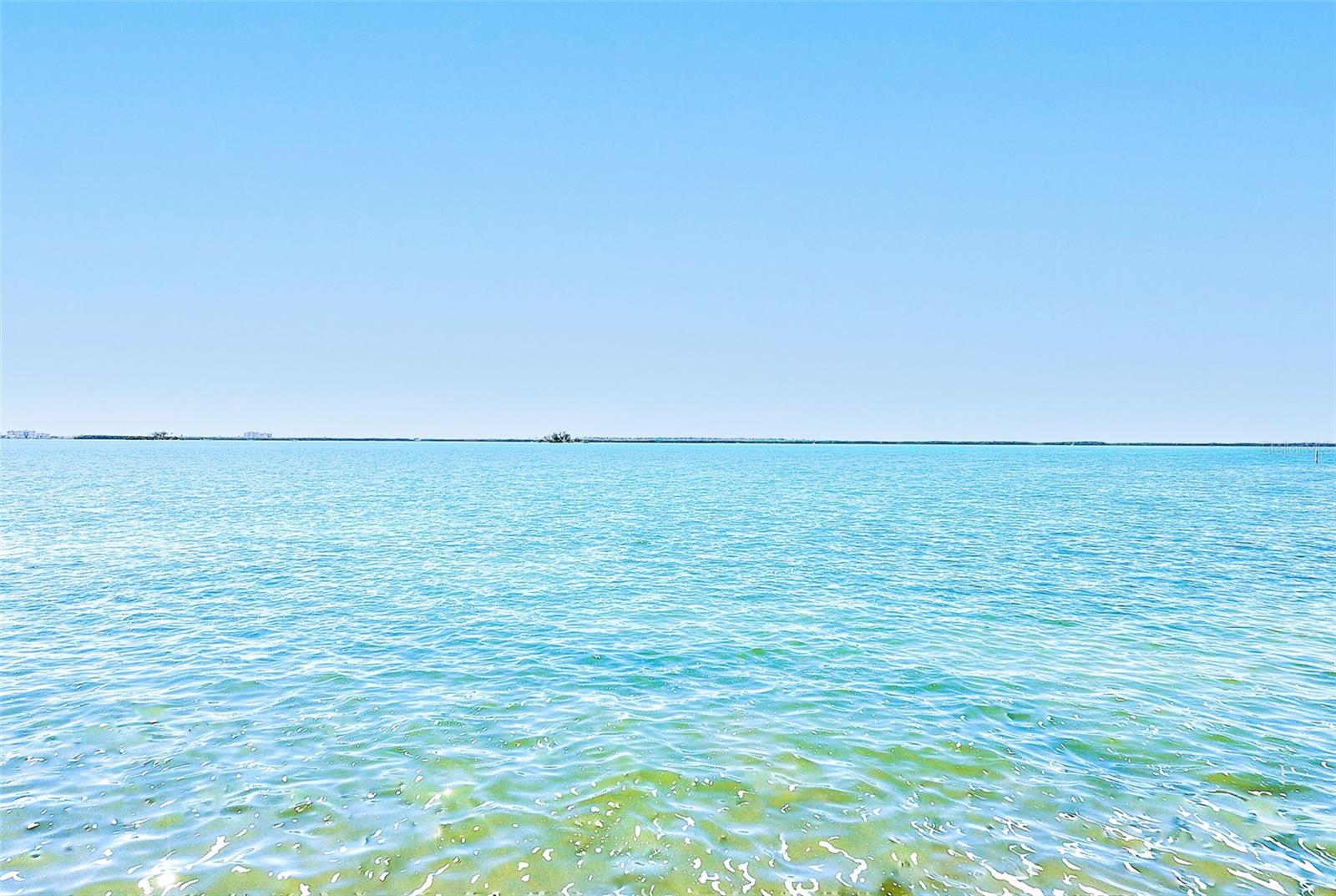 250 SEAGATE CT, DUNEDIN, FL, 34698