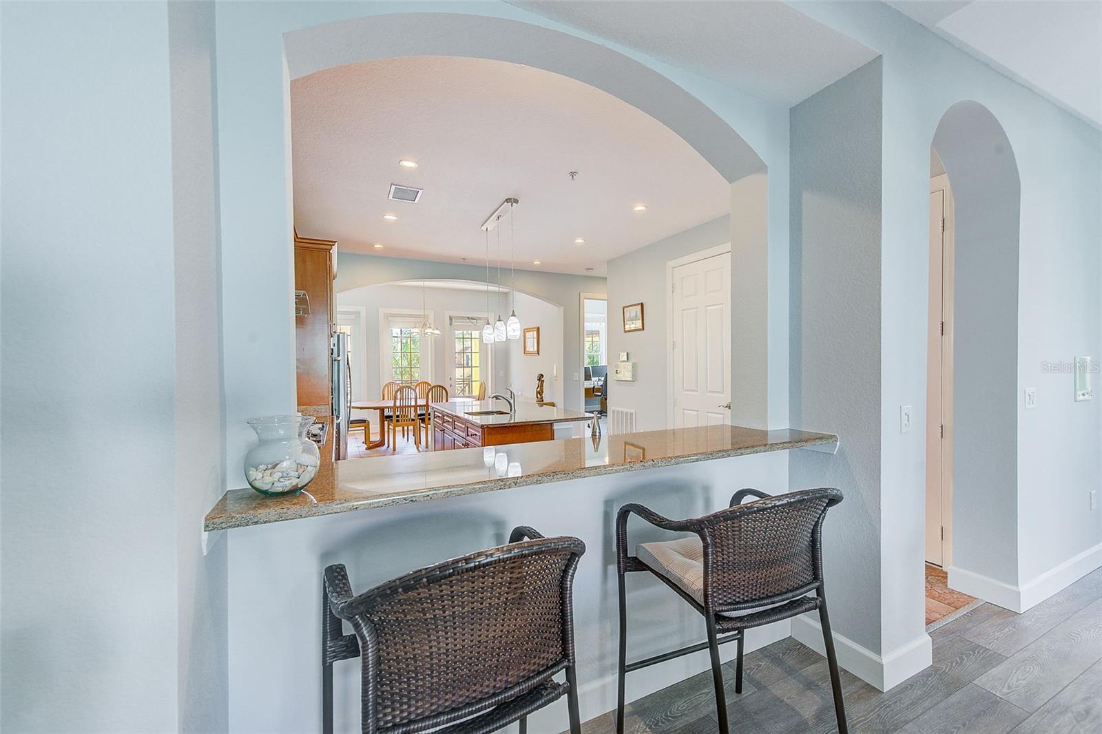 250 SEAGATE CT, DUNEDIN, FL, 34698