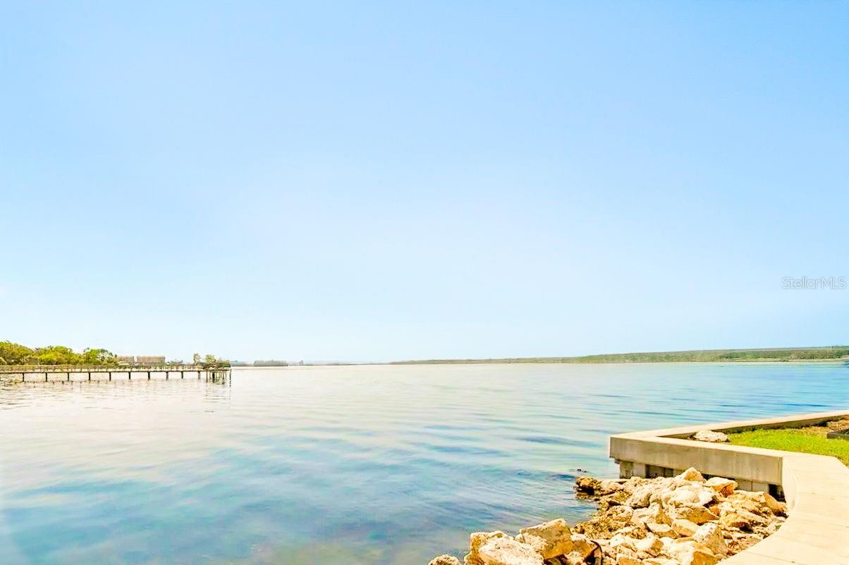 250 SEAGATE CT, DUNEDIN, FL, 34698