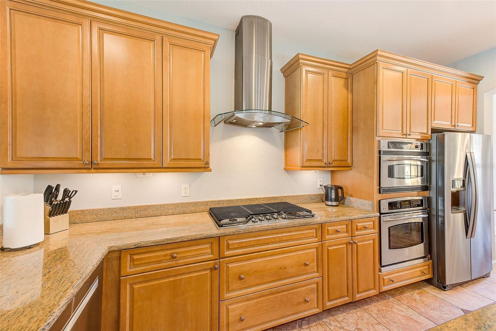 250 SEAGATE CT, DUNEDIN, FL, 34698