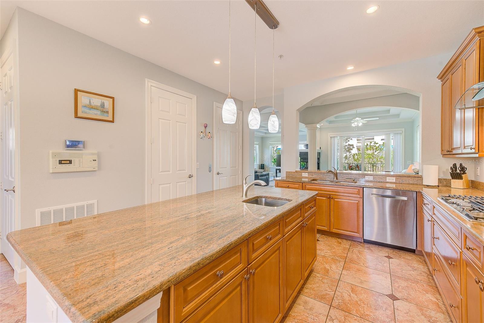 250 SEAGATE CT, DUNEDIN, FL, 34698