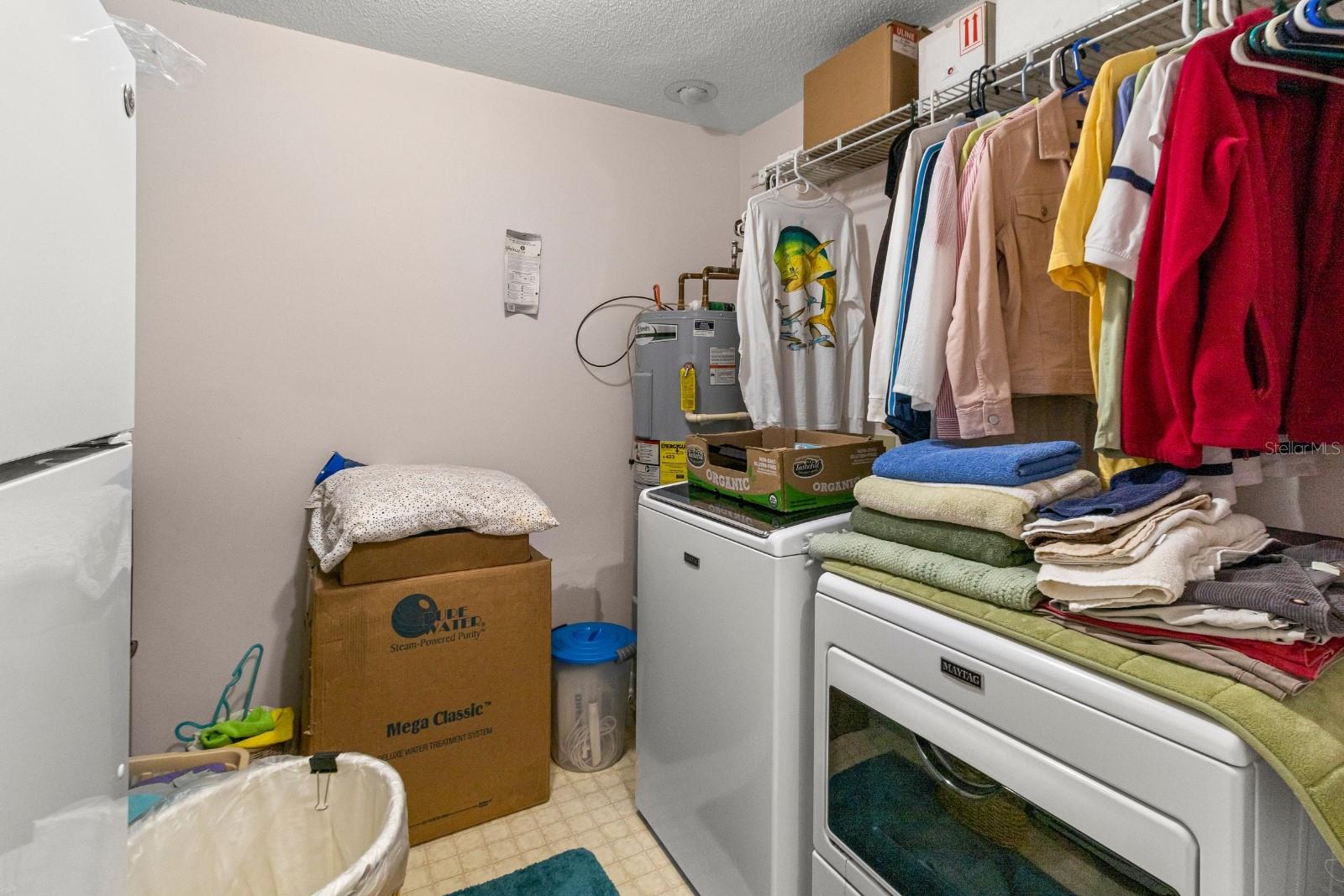 295 SW BLUEBERRY PL, LAKE CITY, FL, 32024