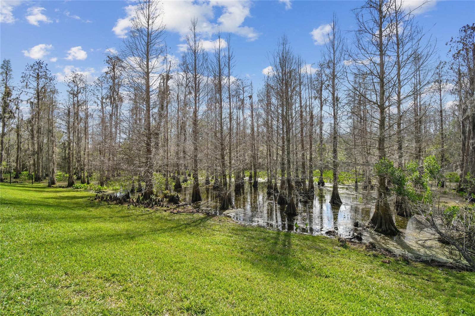 8837 GARDEN PARTY DR, LAND O LAKES, FL, 34637