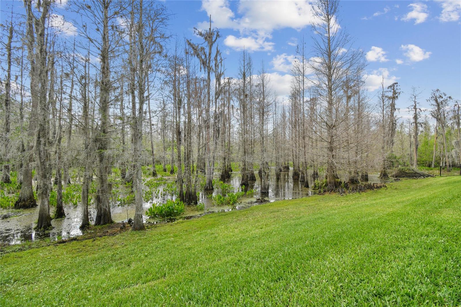 8837 GARDEN PARTY DR, LAND O LAKES, FL, 34637