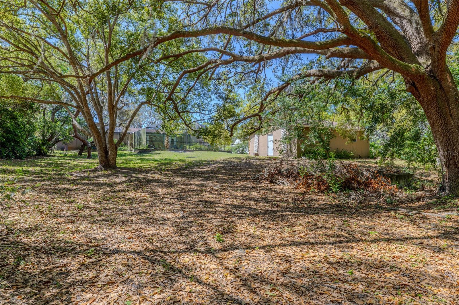 10100 GROVE DR, PORT RICHEY, FL, 34668
