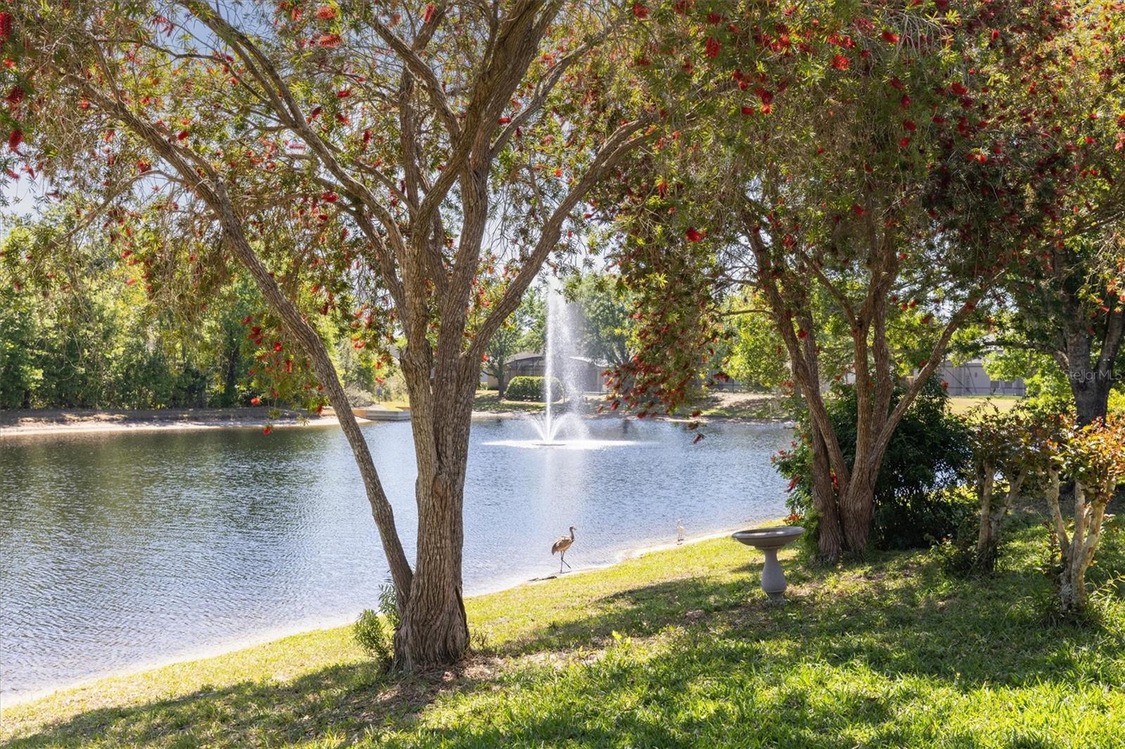 5619 BEAR STONE RUN, OVIEDO, FL, 32765