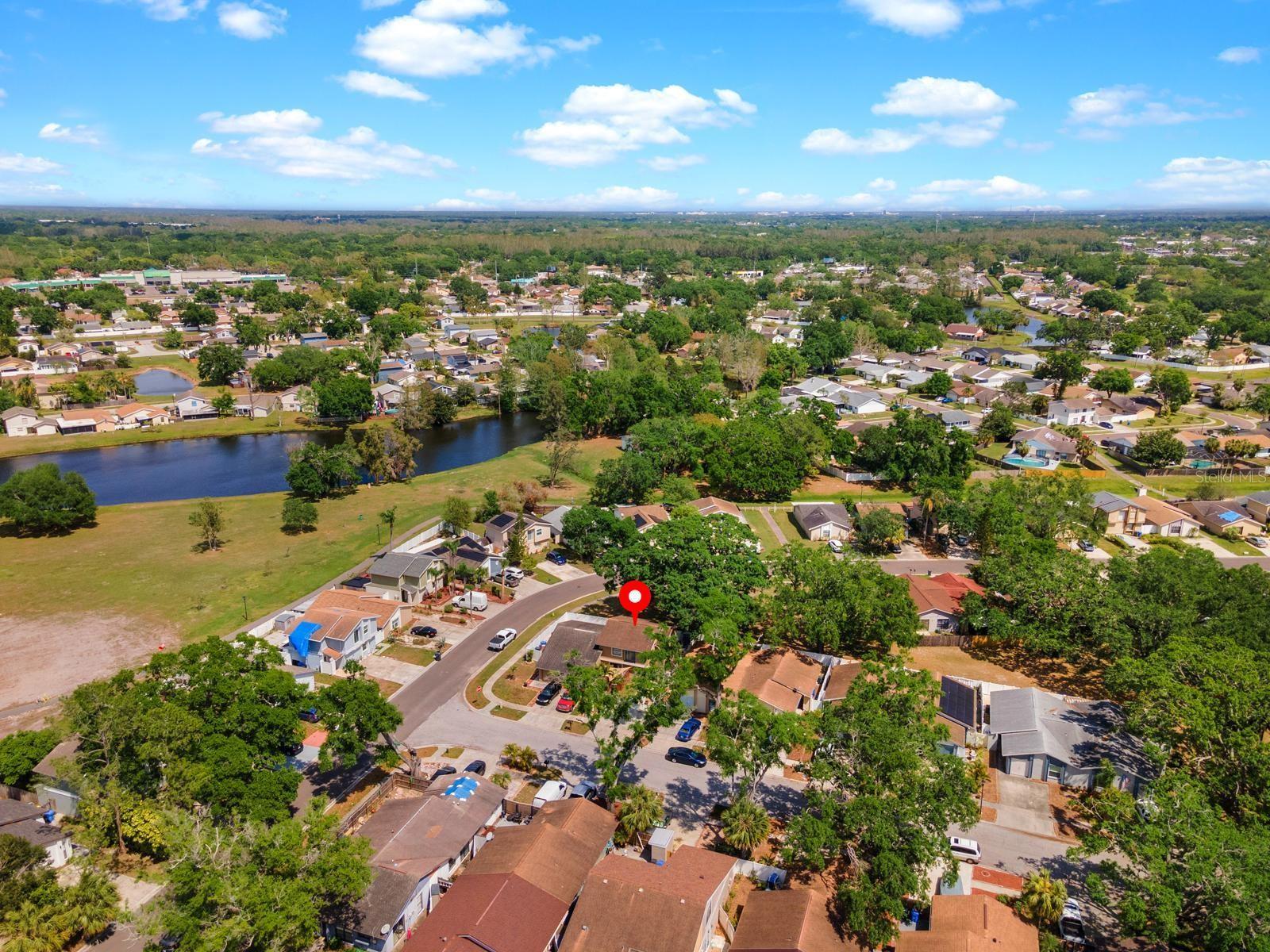 10519 WEEPING WILLOW PL, TAMPA, FL, 33624