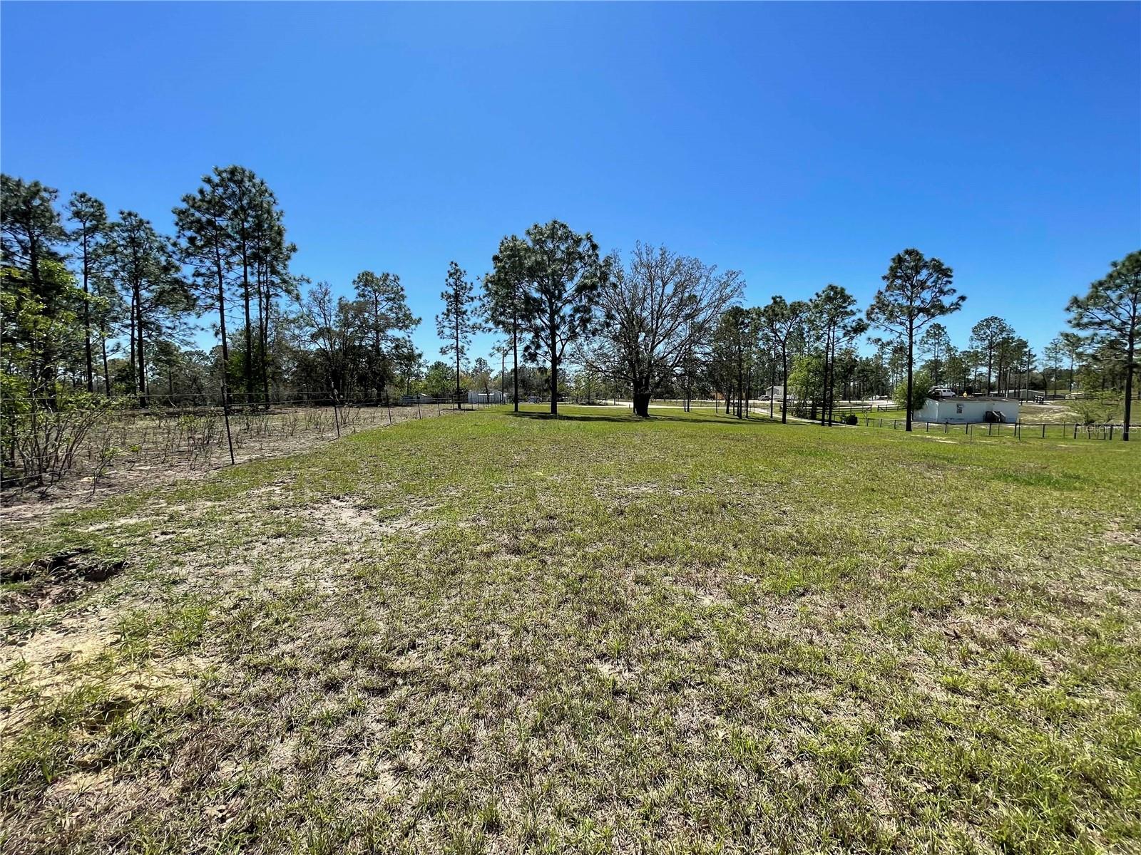 13111 SE 21ST PL, MORRISTON, FL, 32668