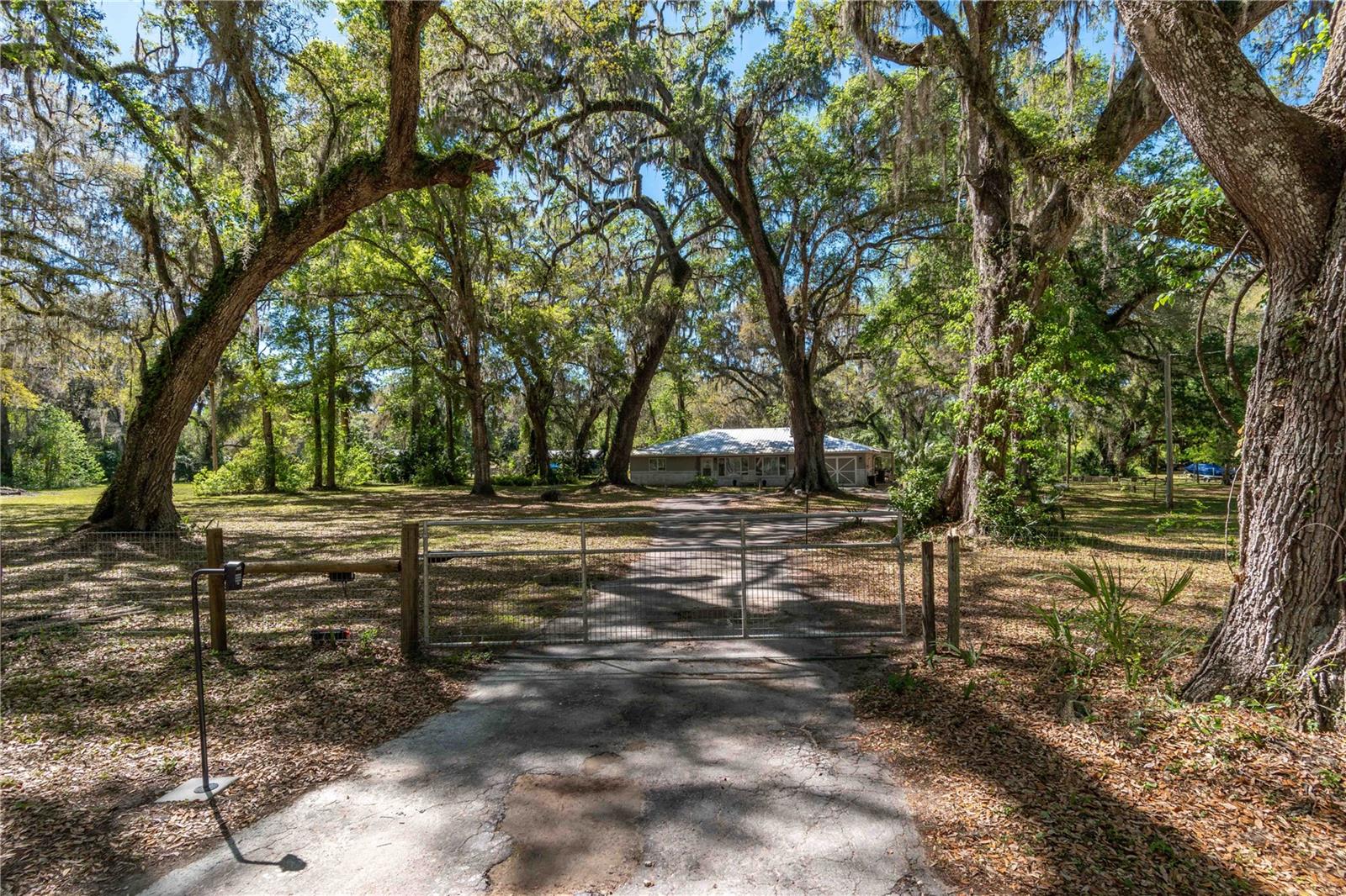 14100 NE 40TH CT, ANTHONY, FL, 32617