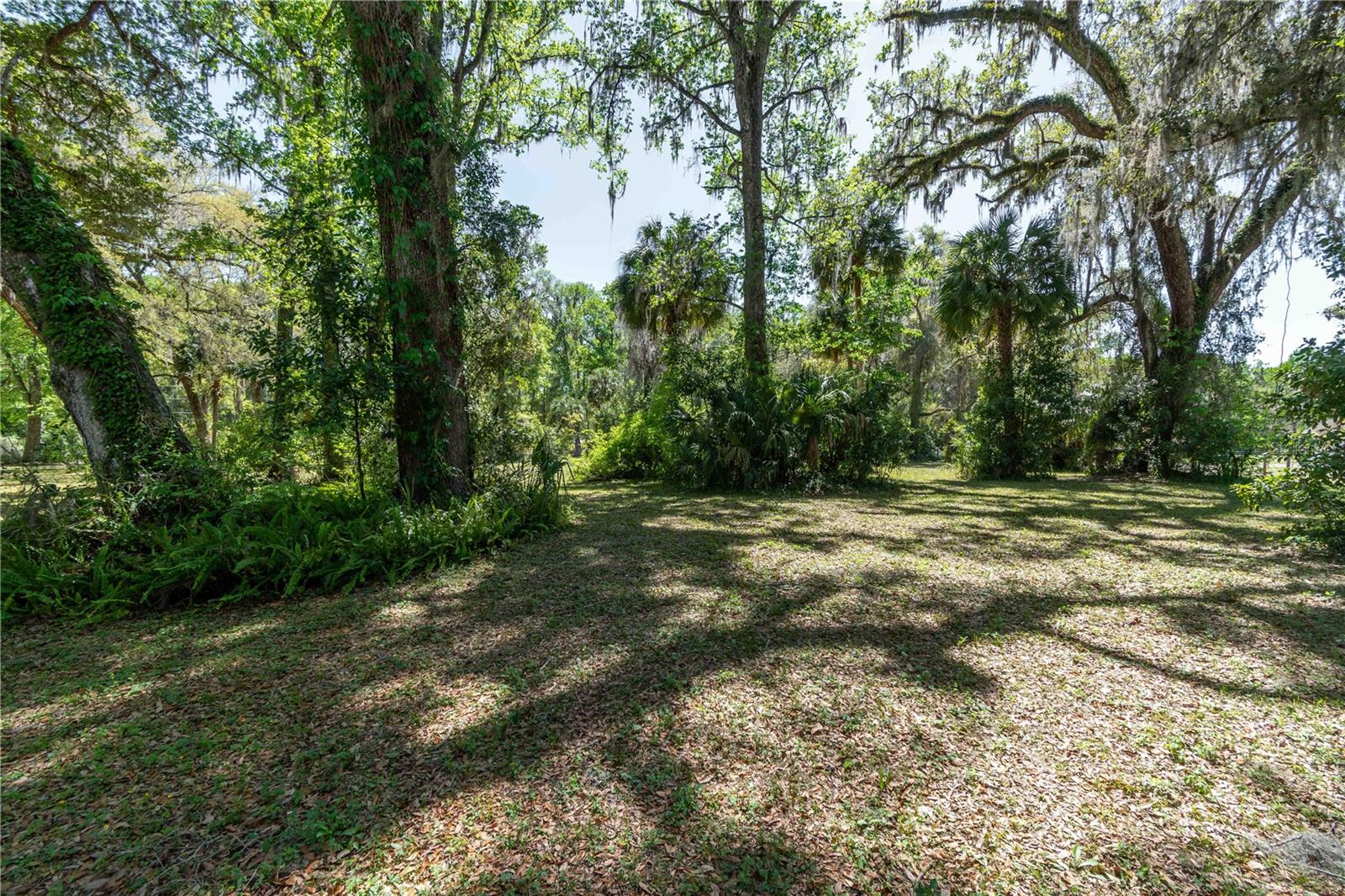 14100 NE 40TH CT, ANTHONY, FL, 32617