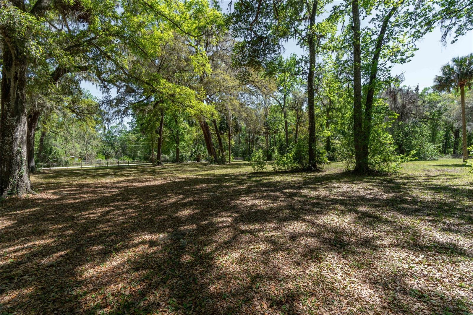 14100 NE 40TH CT, ANTHONY, FL, 32617