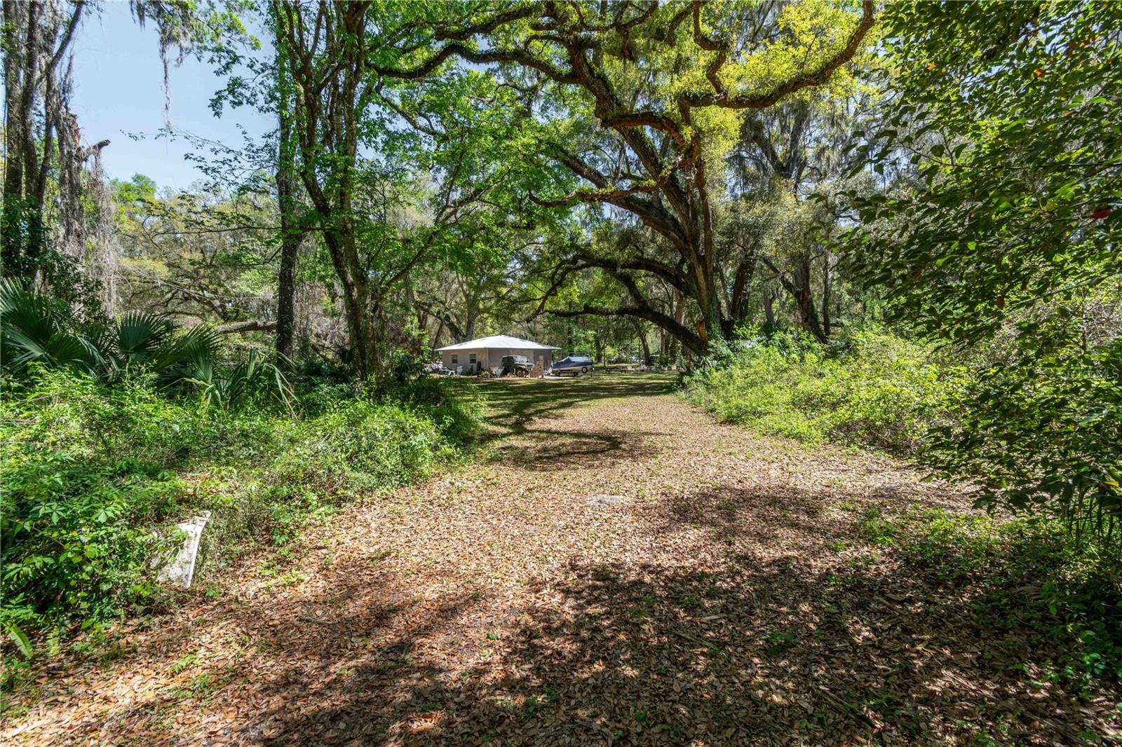 14100 NE 40TH CT, ANTHONY, FL, 32617