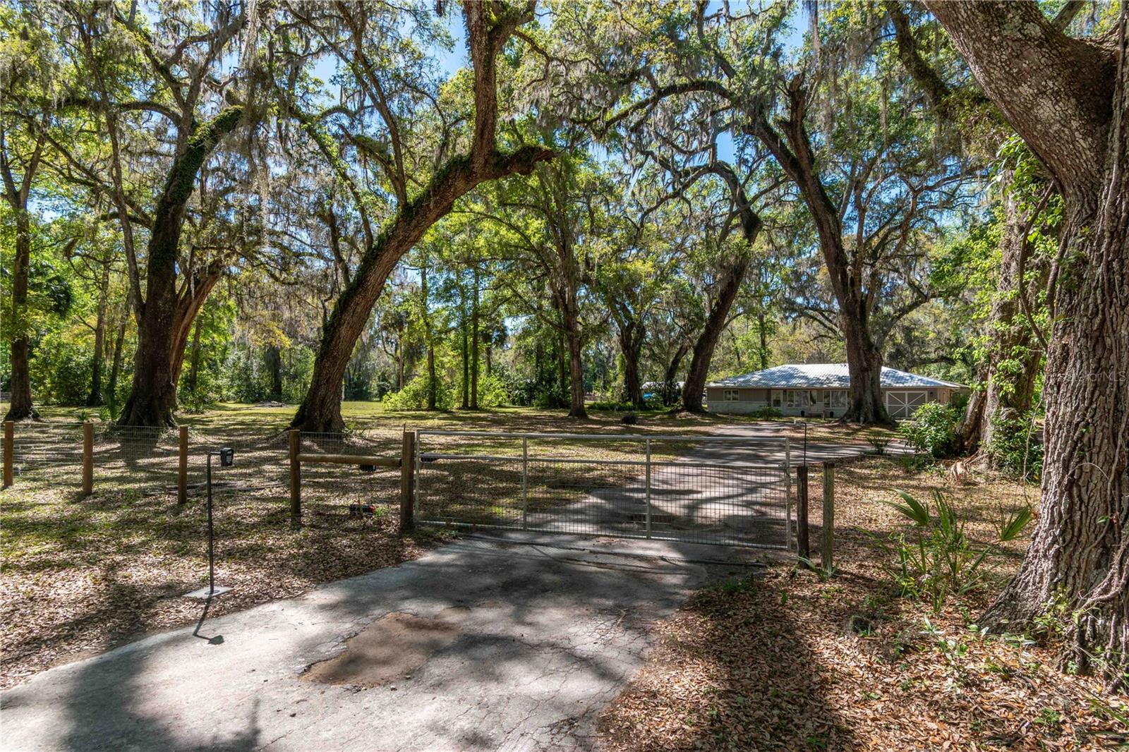 14100 NE 40TH CT, ANTHONY, FL, 32617
