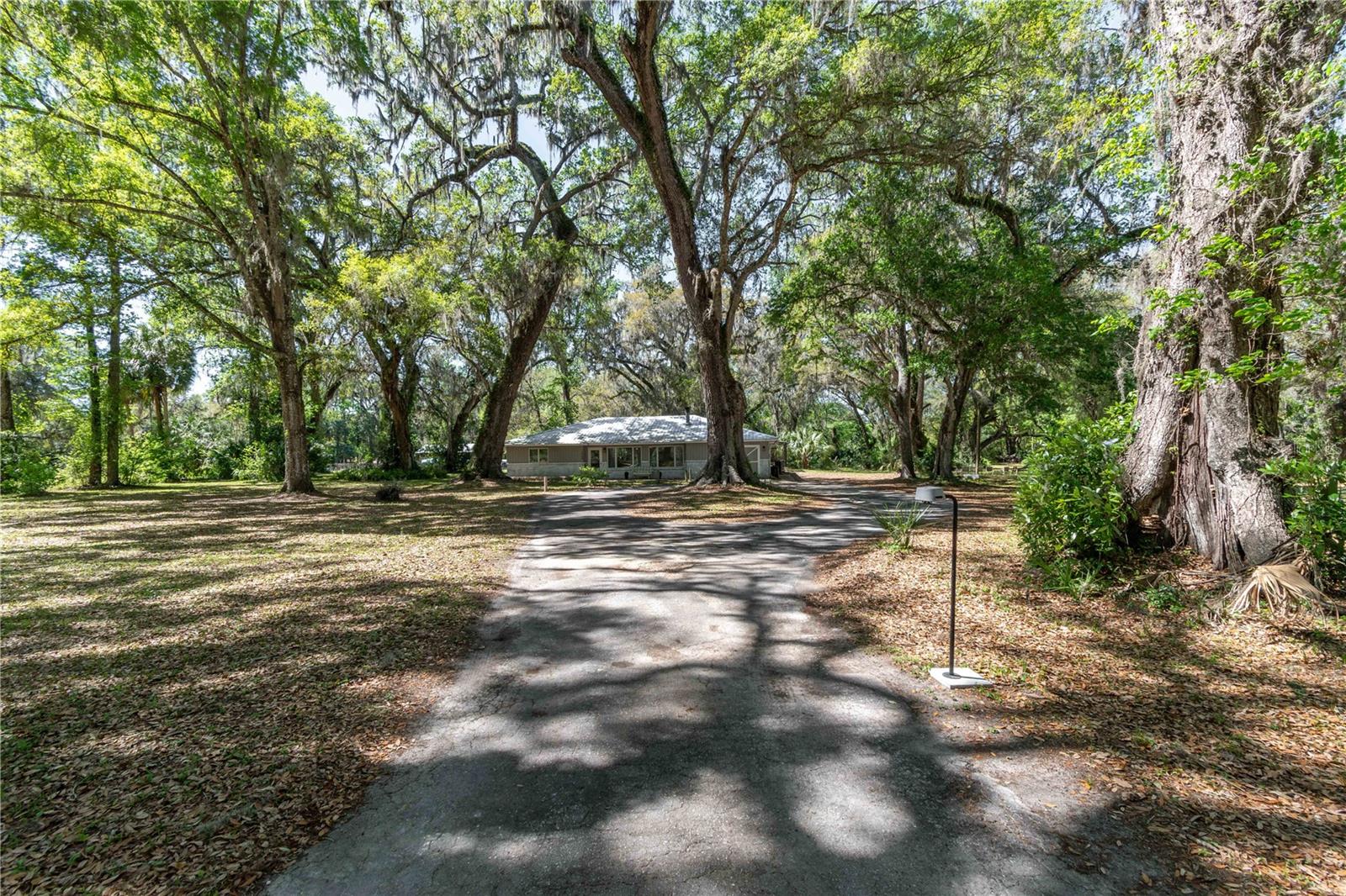 14100 NE 40TH CT, ANTHONY, FL, 32617