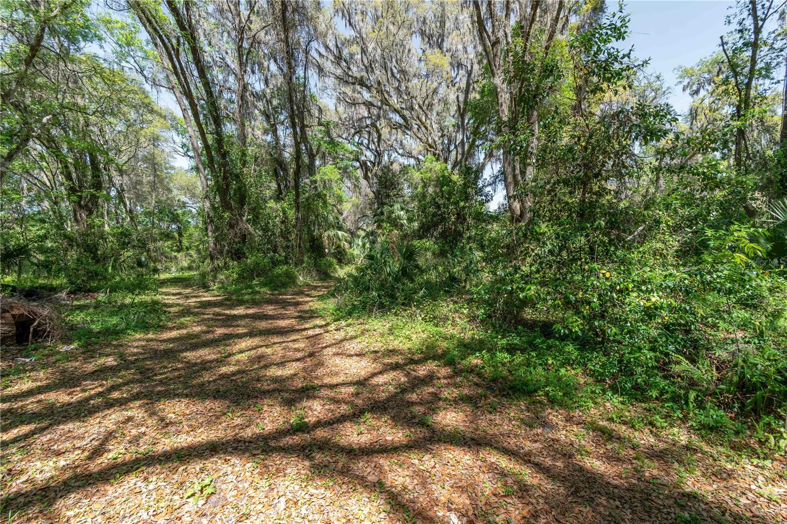 14100 NE 40TH CT, ANTHONY, FL, 32617